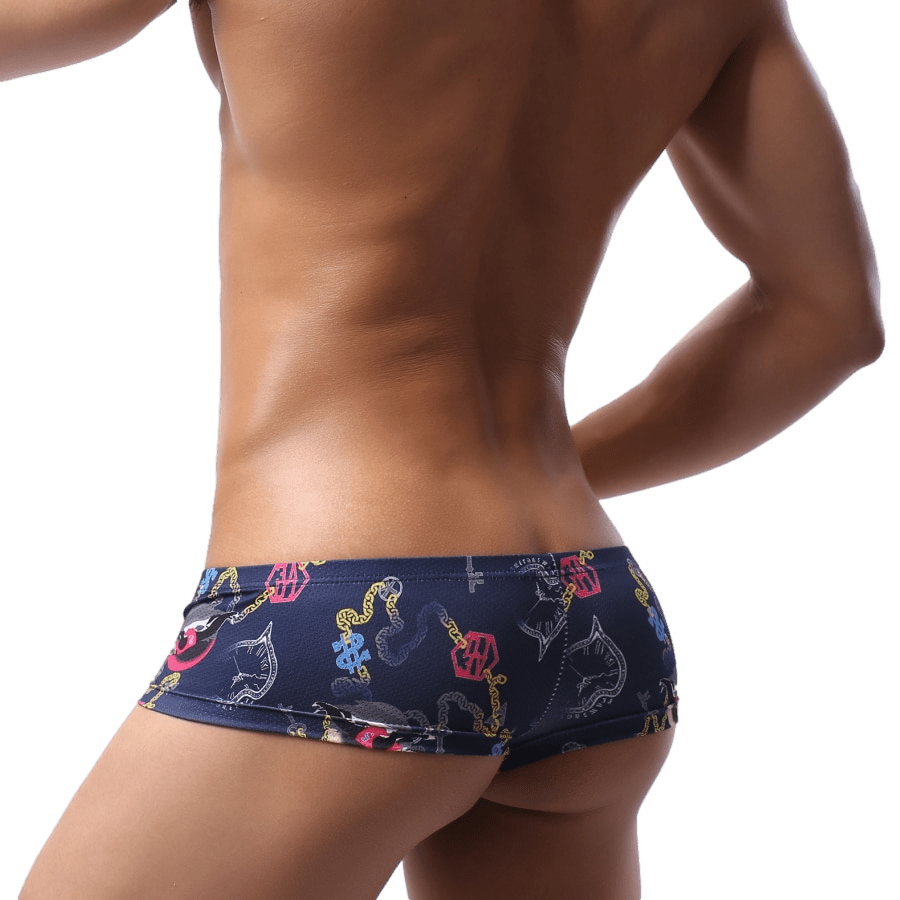5 Pack Eclectic Cheeky Briefs | dmunderwear detail image 3