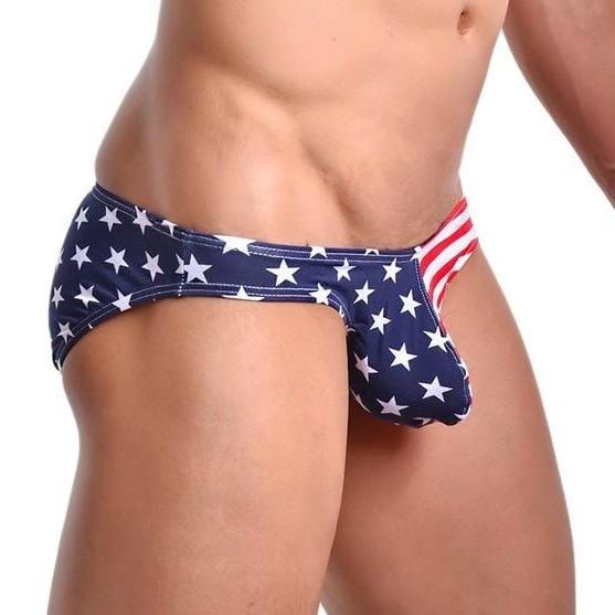 Patriotic Briefs | dmunderwear