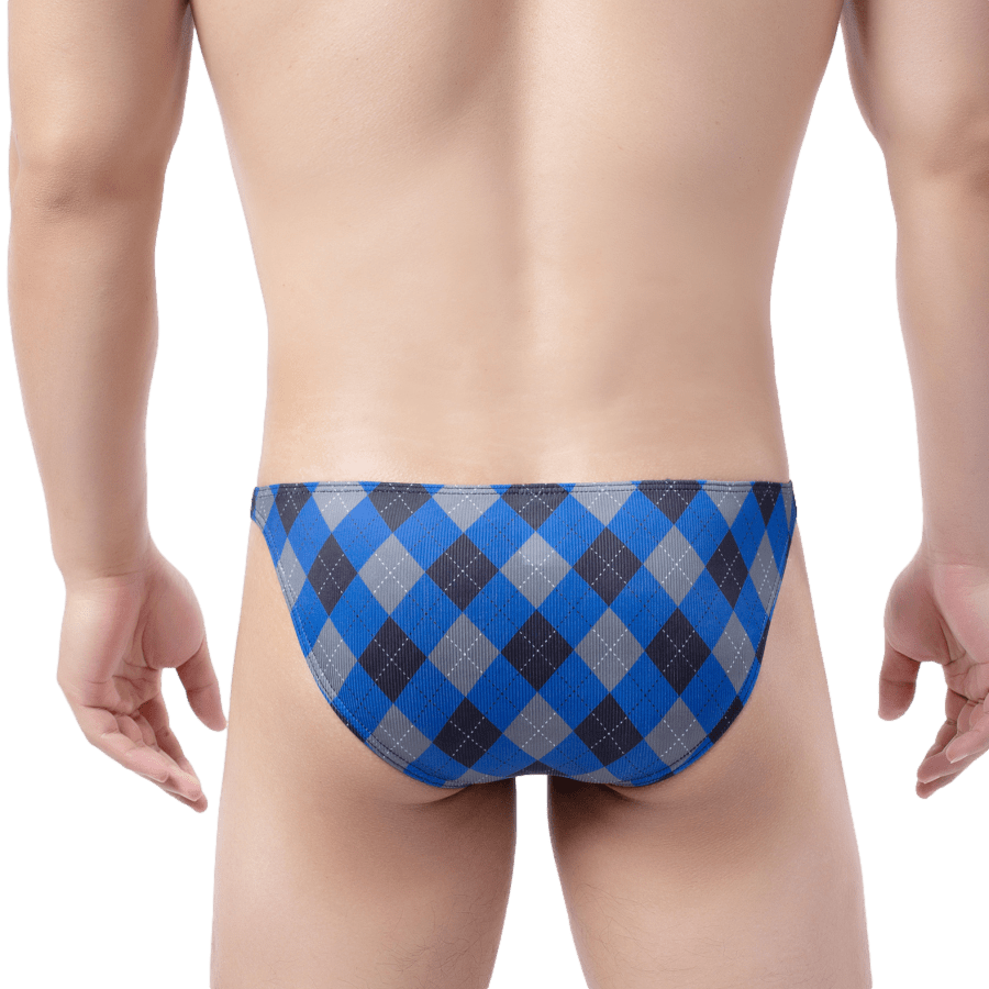 Plaid Bikini Briefs | dmunderwear detail image 2