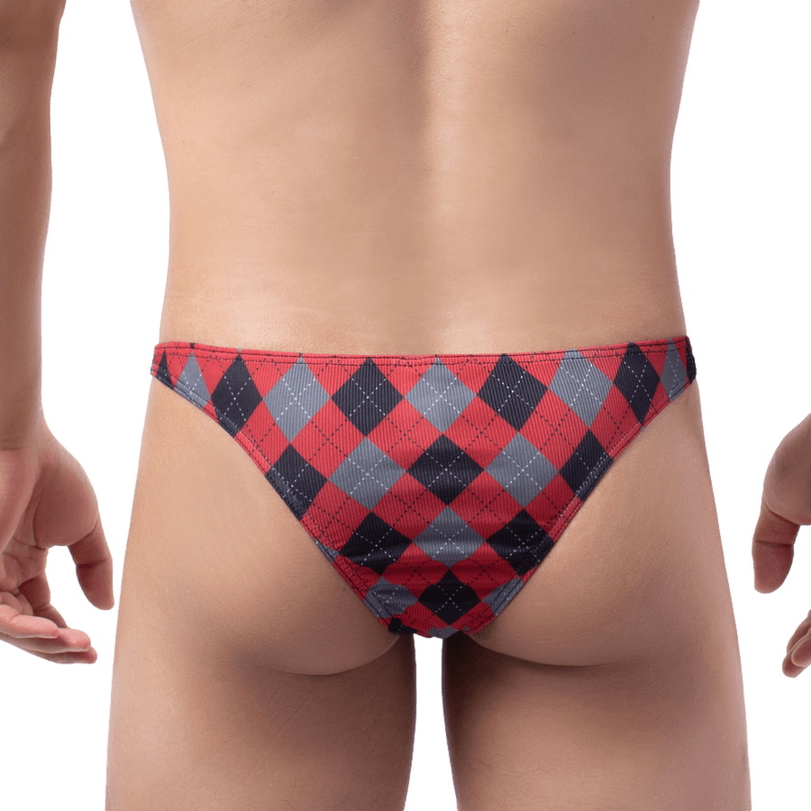 Plaid V Bikini | dmunderwear detail image 3