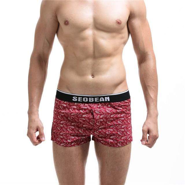 Pouched Designer Boxers | dmunderwear variant image