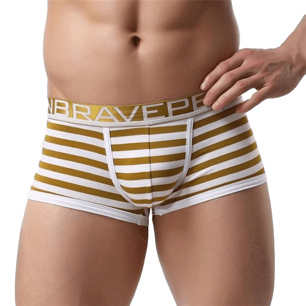 Premium Striped Trunks | dmunderwear