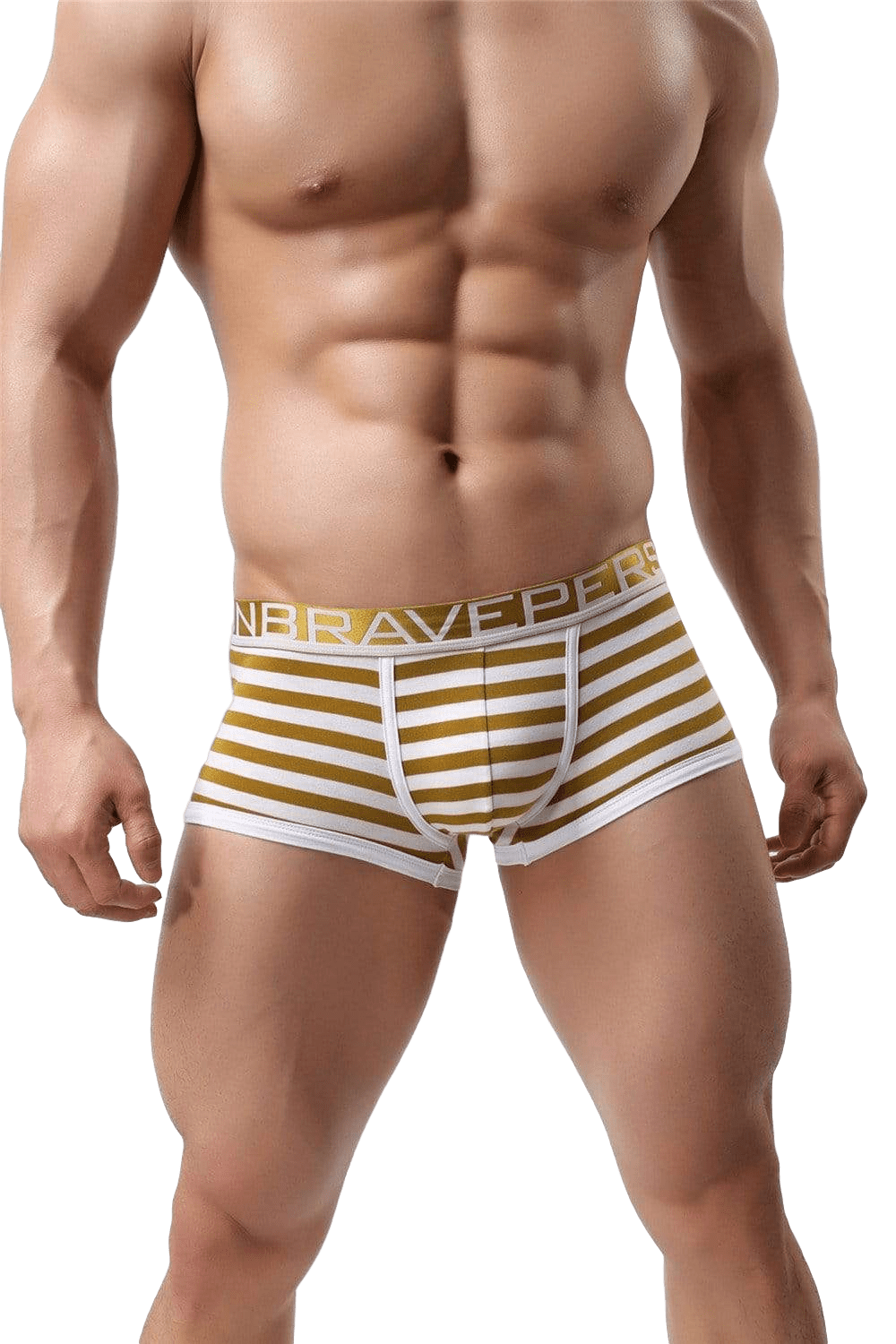 Premium Striped Trunks | dmunderwear detail image 2