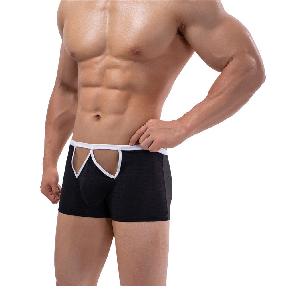 Preview Elite Trunks | dmunderwear detail image 9