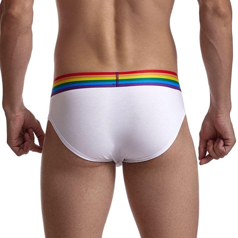 Pride Comfort Briefs | dmunderwear detail image 2