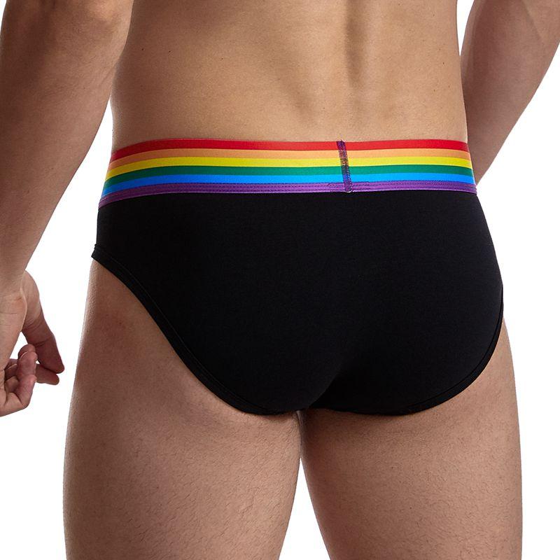Pride Comfort Briefs | dmunderwear detail image 4