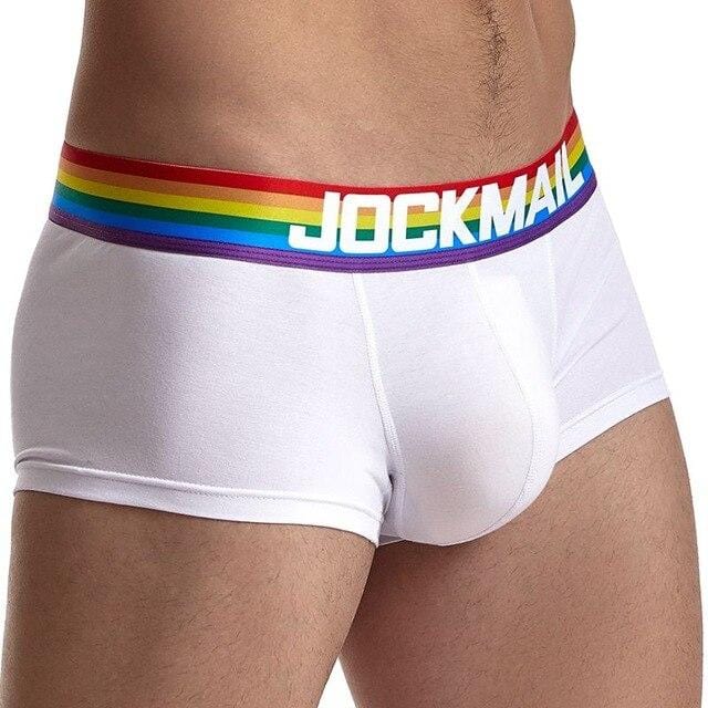 Pride Comfort Trunks | dmunderwear variant image