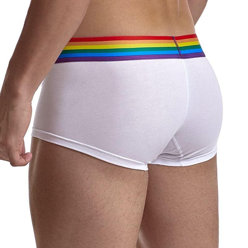 Pride Comfort Trunks | dmunderwear detail image 3