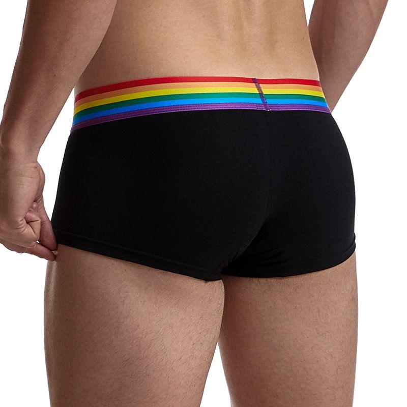 Pride Comfort Trunks | dmunderwear detail image 4