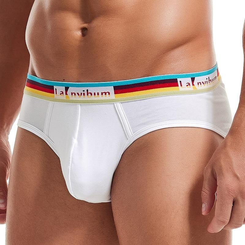 Prism Briefs | dmunderwear