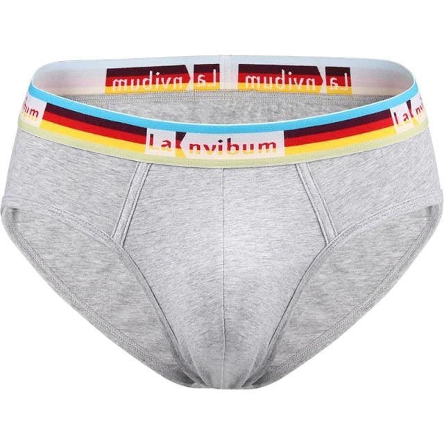 Prism Briefs | dmunderwear detail image 10