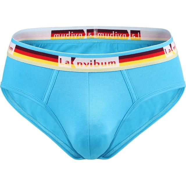 Prism Briefs | dmunderwear detail image 12