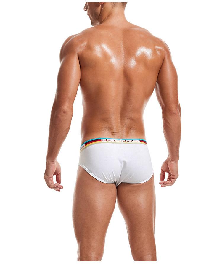Prism Briefs | dmunderwear detail image 3
