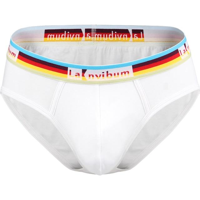Prism Briefs | dmunderwear detail image 4