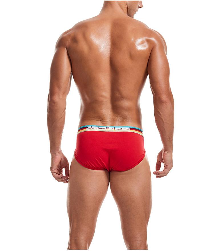 Prism Briefs | dmunderwear detail image 5