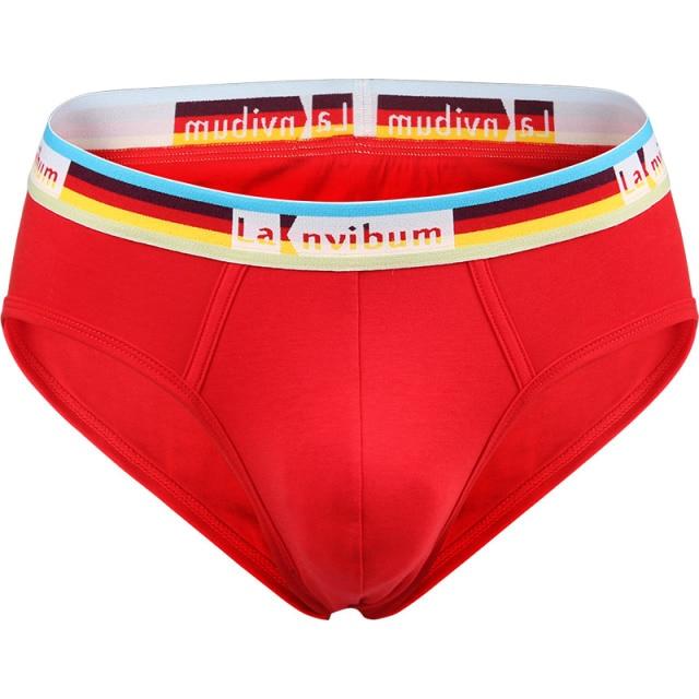 Prism Briefs | dmunderwear detail image 7