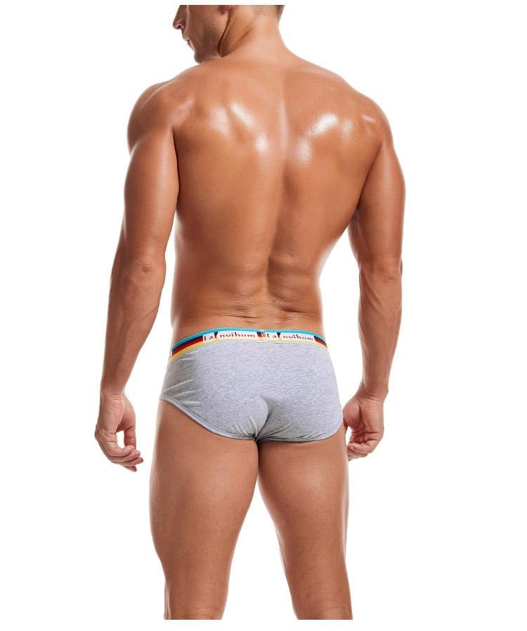 Prism Briefs | dmunderwear detail image 9