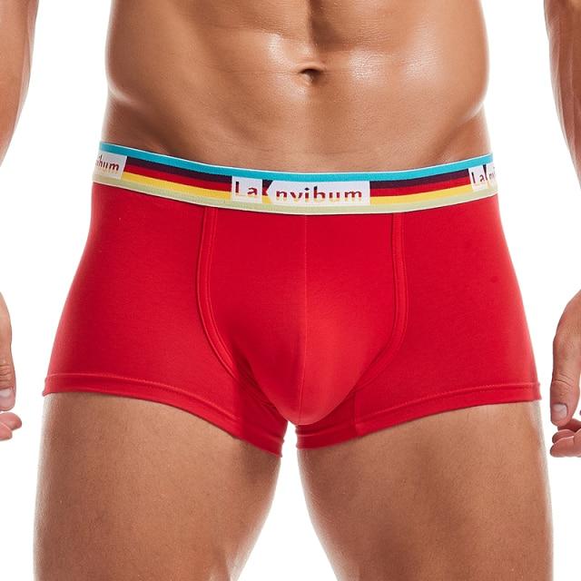 Prism Trunks | dmunderwear