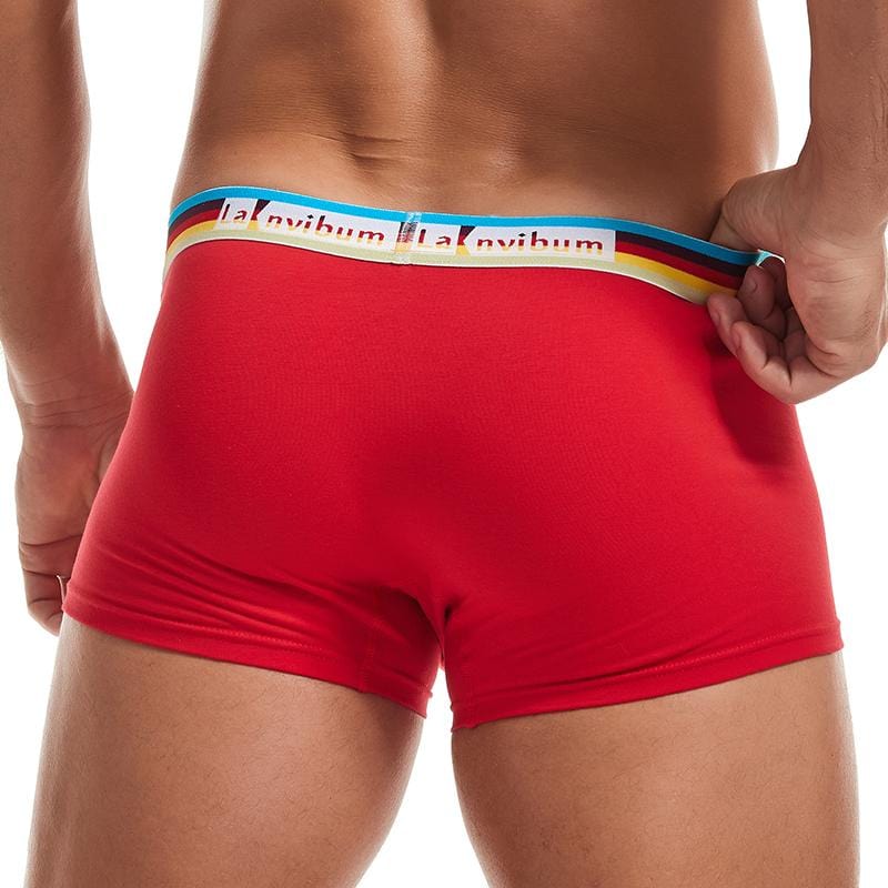 Prism Trunks | dmunderwear detail image 2