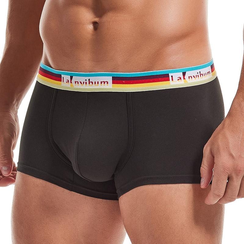 Prism Trunks | dmunderwear detail image 3
