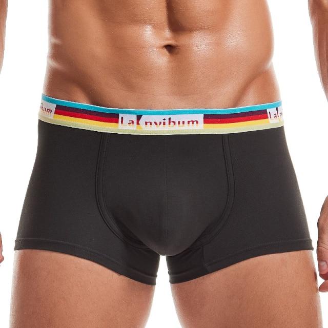 Prism Trunks | dmunderwear detail image 4