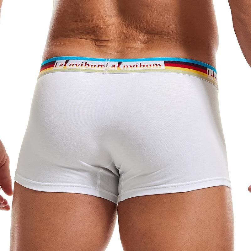 Prism Trunks | dmunderwear detail image 5