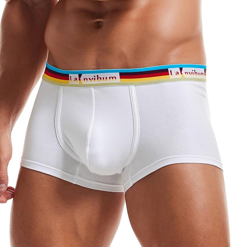 Prism Trunks | dmunderwear detail image 6