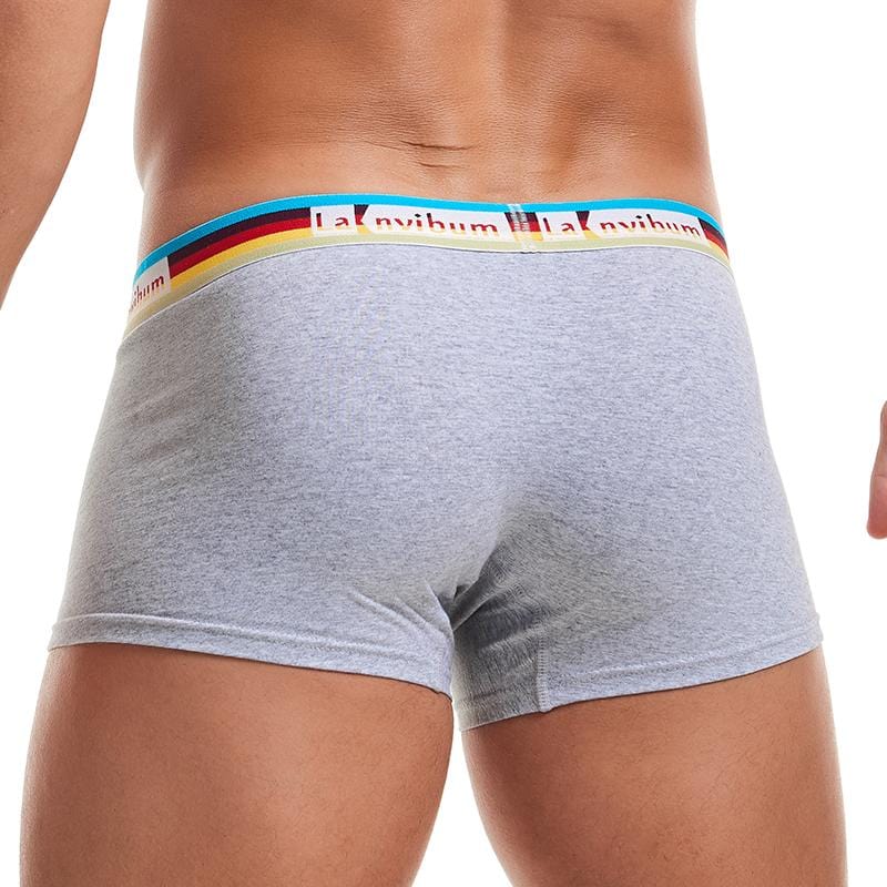 Prism Trunks | dmunderwear detail image 7