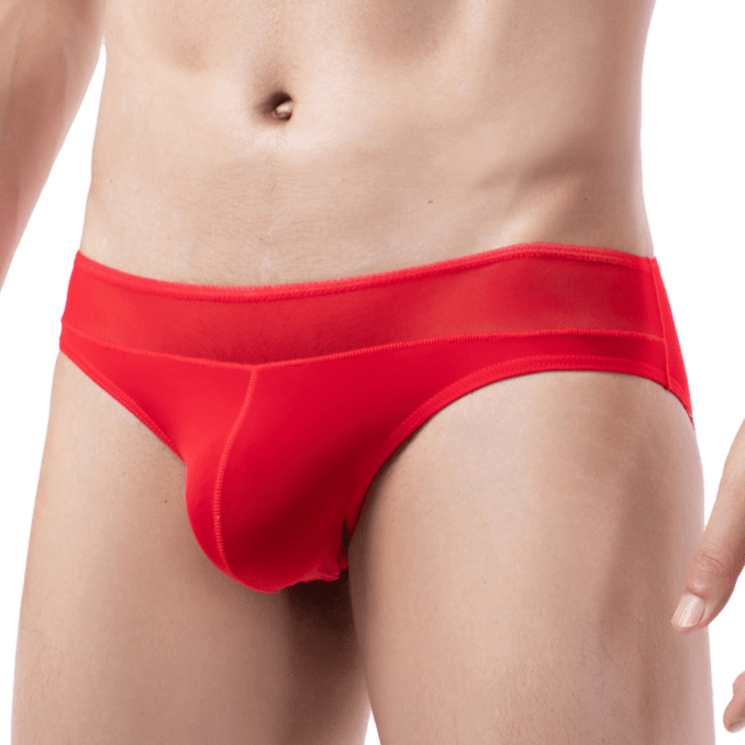 Profile Sheer Briefs | dmunderwear