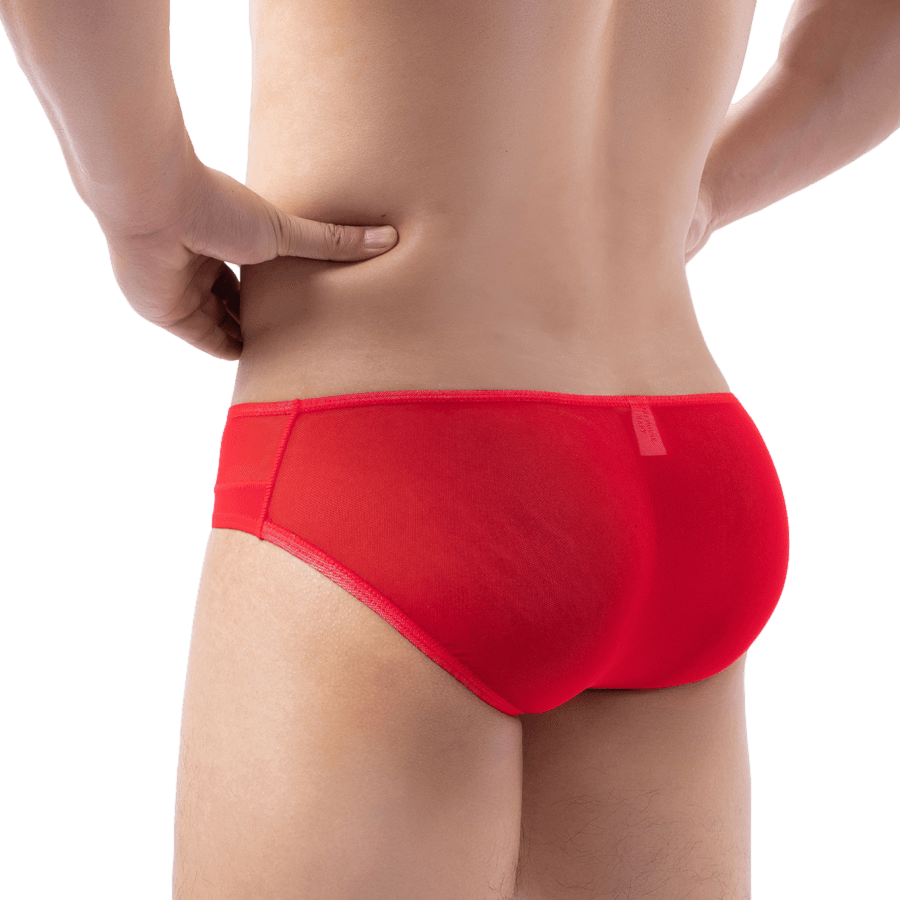 Profile Sheer Briefs | dmunderwear detail image 2