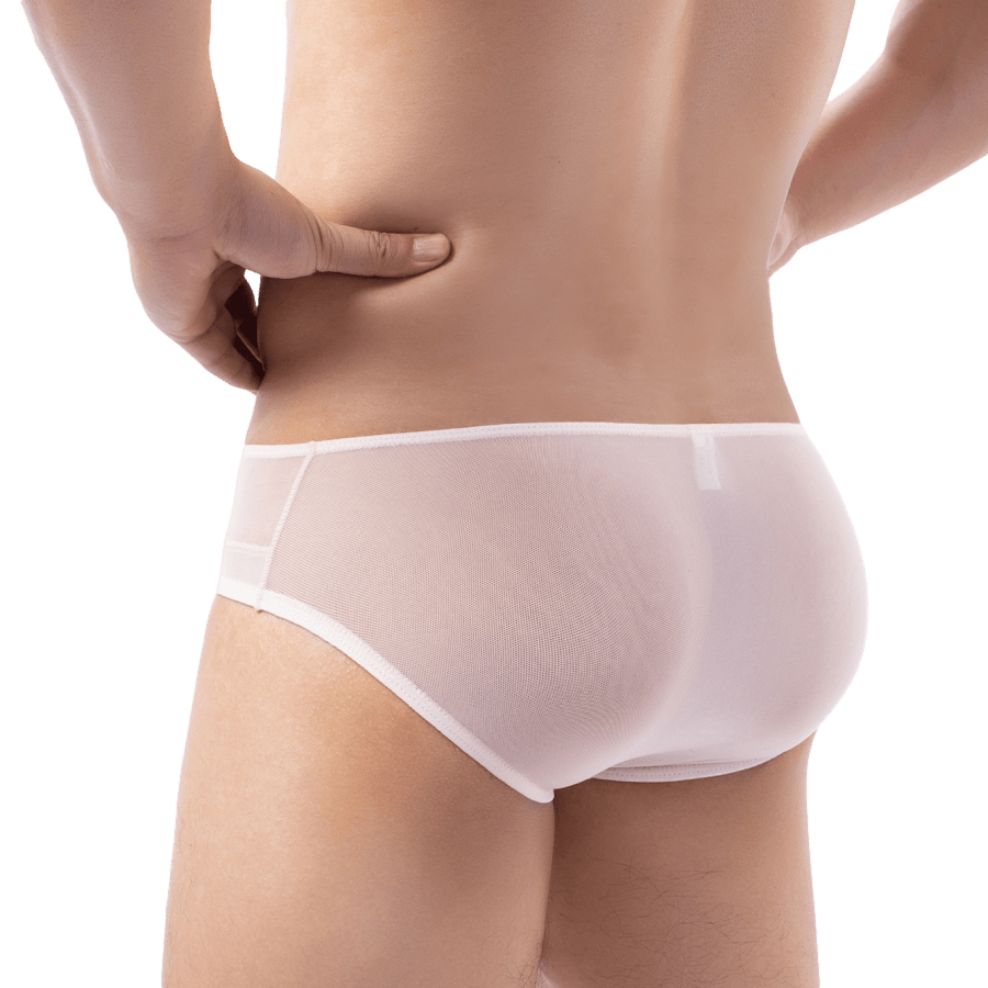 Profile Sheer Briefs | dmunderwear detail image 5