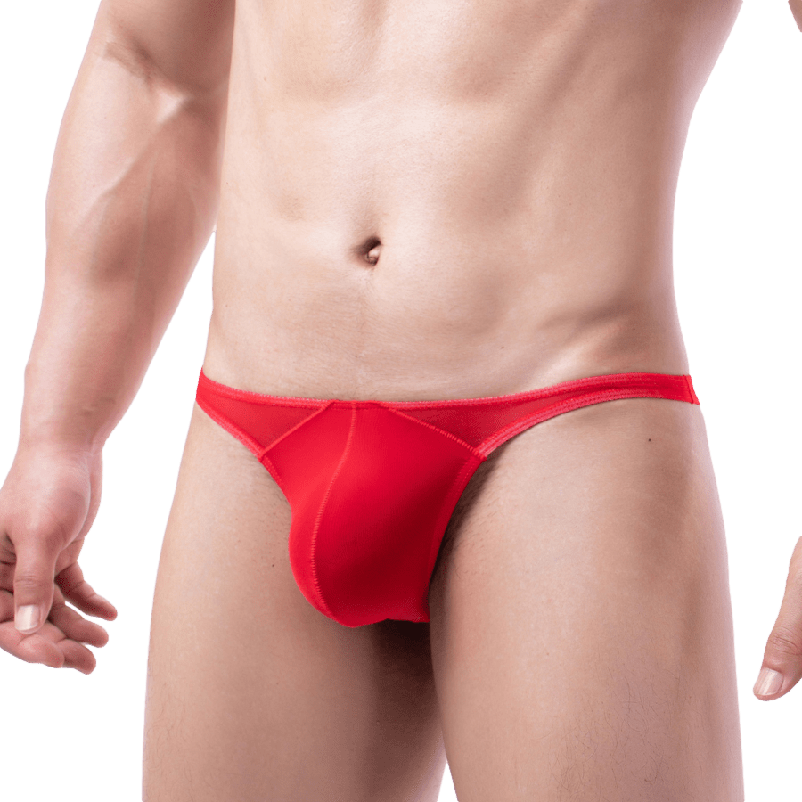 Profile Sheer Thong | dmunderwear detail image 3