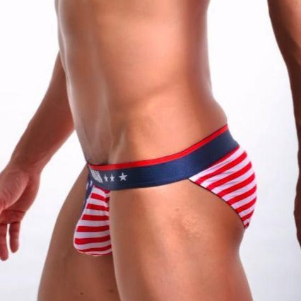 ORVLS Proud American Basket Briefs | dmunderwear product image 2