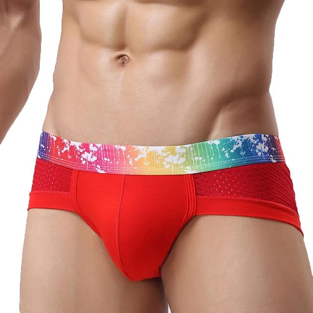 Rainbow Band Mesh Briefs | dmunderwear detail image 13