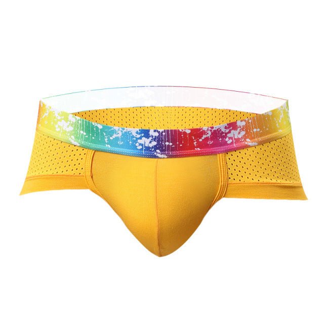 Rainbow Band Mesh Briefs | dmunderwear detail image 7