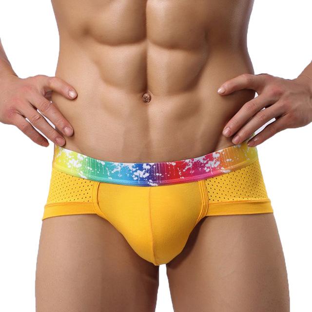 Rainbow Band Mesh Briefs | dmunderwear detail image 9