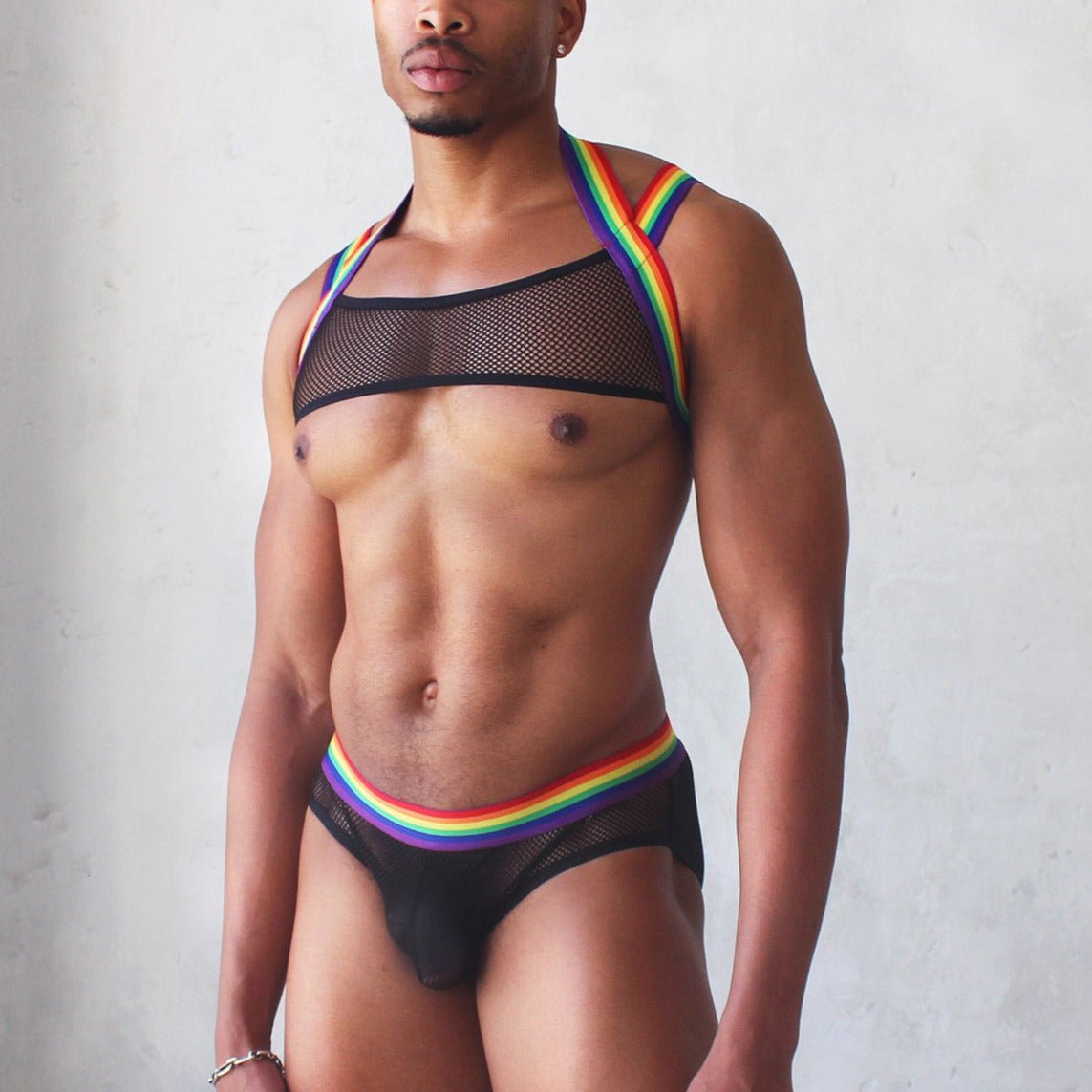 ORVLS Rainbow Mesh Harness + Briefs | dmunderwear
