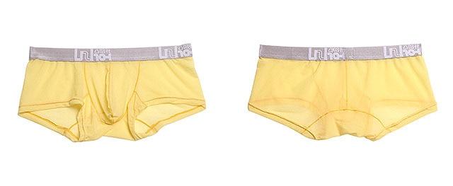 Risky Sheer Trunks | dmunderwear detail image 10
