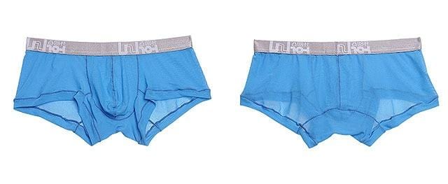 Risky Sheer Trunks | dmunderwear detail image 3