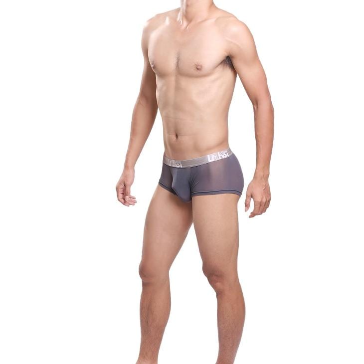 Risky Sheer Trunks | dmunderwear detail image 4
