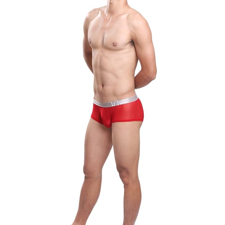 Risky Sheer Trunks | dmunderwear detail image 7