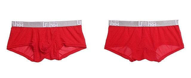 Risky Sheer Trunks | dmunderwear detail image 8