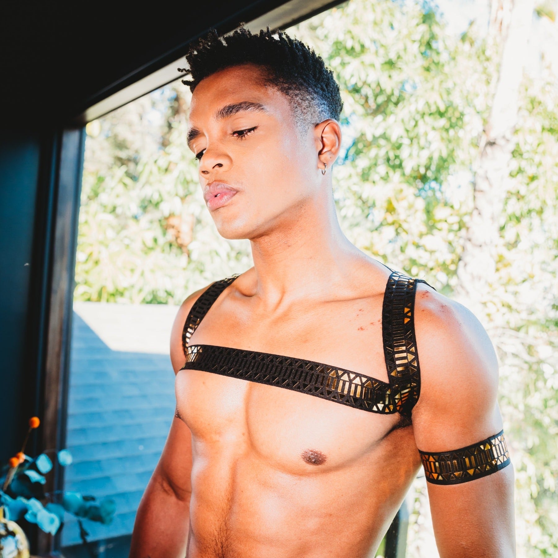 Roman Metallic Chest Harness + Armband | dmunderwear