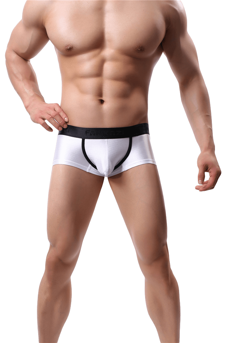 Royal Trunks | dmunderwear detail image 10
