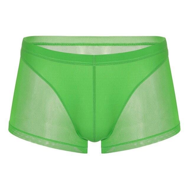 Seductive Sheer Trunks | dmunderwear variant image