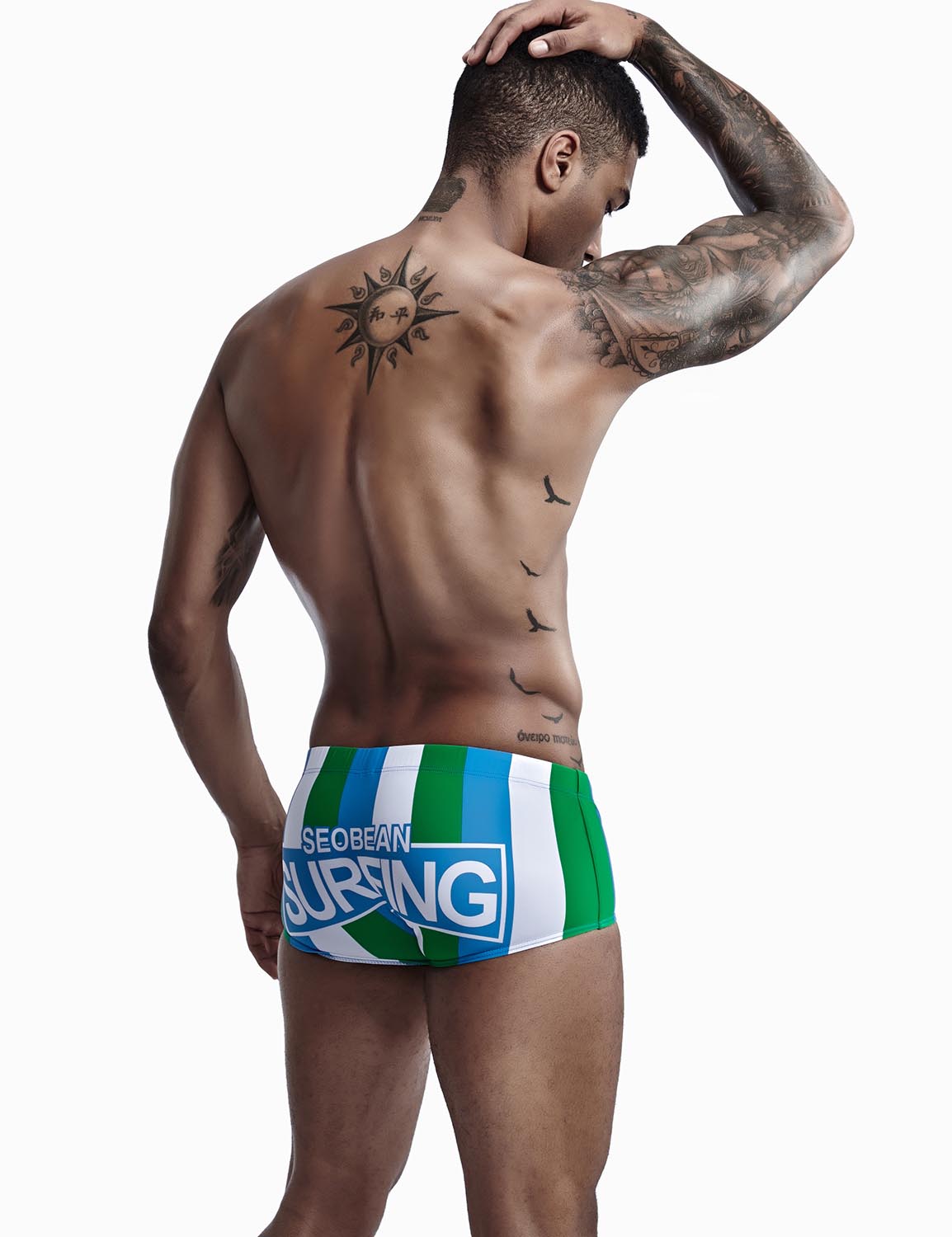 Low Rise Boxer Brief Stripe Swimwear 90807 | dmunderwear