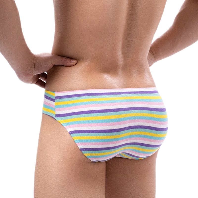 Lush Striped Briefs | dmunderwear detail image 4
