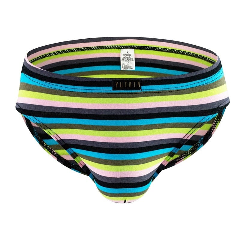 Lush Striped Briefs | dmunderwear detail image 5
