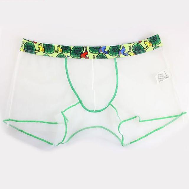 ORVLS Sheer Boxer Briefs | dmunderwear detail image 9