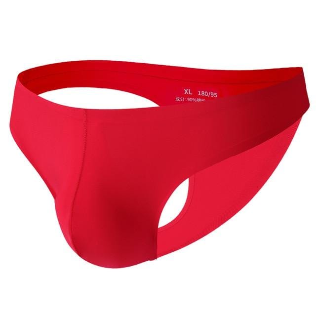 Silky Bulge Bikini | dmunderwear